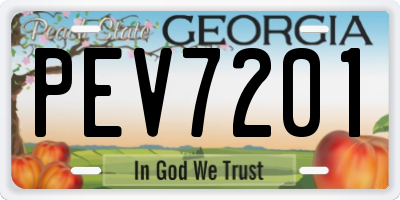 GA license plate PEV7201