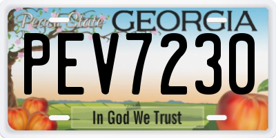 GA license plate PEV7230