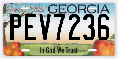 GA license plate PEV7236