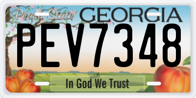GA license plate PEV7348