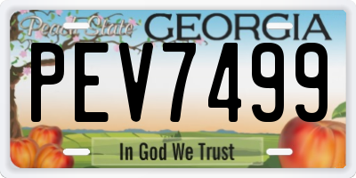 GA license plate PEV7499