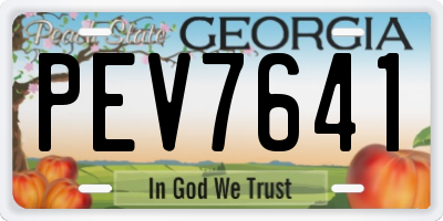 GA license plate PEV7641