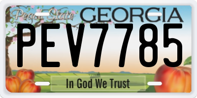 GA license plate PEV7785