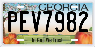 GA license plate PEV7982