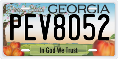 GA license plate PEV8052