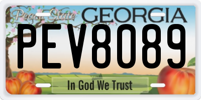 GA license plate PEV8089