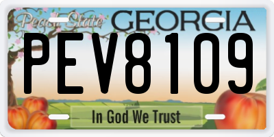 GA license plate PEV8109