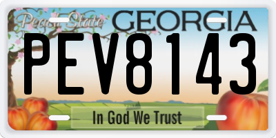 GA license plate PEV8143
