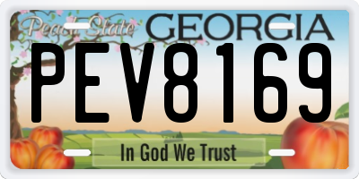 GA license plate PEV8169