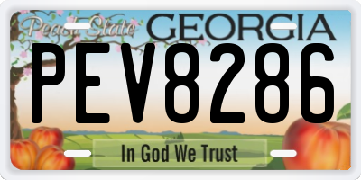 GA license plate PEV8286