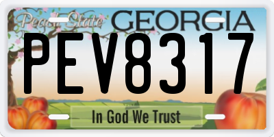 GA license plate PEV8317