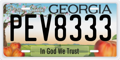 GA license plate PEV8333