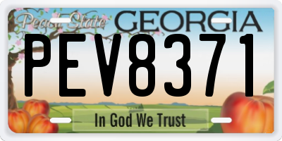 GA license plate PEV8371