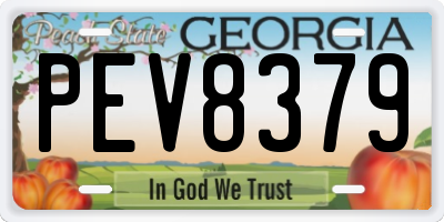 GA license plate PEV8379
