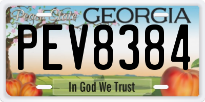 GA license plate PEV8384