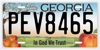 GA license plate PEV8465