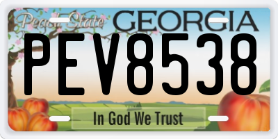 GA license plate PEV8538