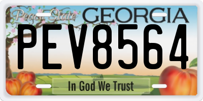 GA license plate PEV8564