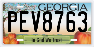 GA license plate PEV8763