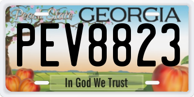 GA license plate PEV8823