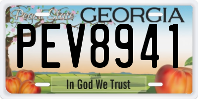 GA license plate PEV8941