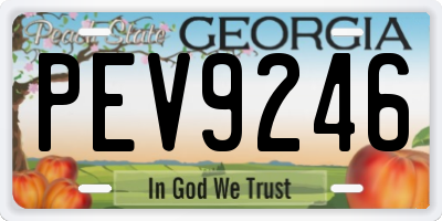 GA license plate PEV9246