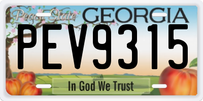 GA license plate PEV9315