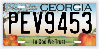 GA license plate PEV9453