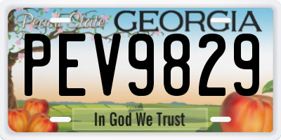 GA license plate PEV9829