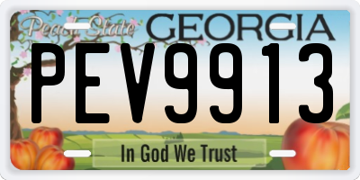 GA license plate PEV9913