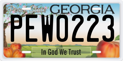 GA license plate PEW0223