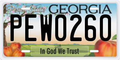 GA license plate PEW0260