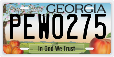 GA license plate PEW0275