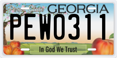 GA license plate PEW0311
