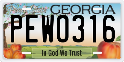 GA license plate PEW0316