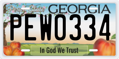 GA license plate PEW0334