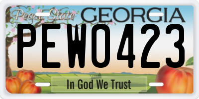 GA license plate PEW0423