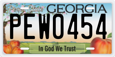 GA license plate PEW0454