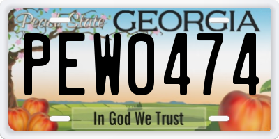 GA license plate PEW0474