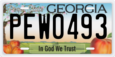GA license plate PEW0493