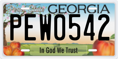 GA license plate PEW0542