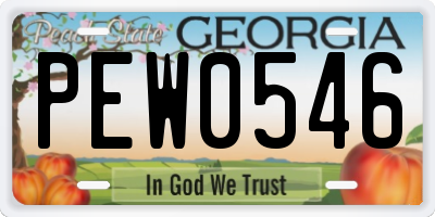 GA license plate PEW0546
