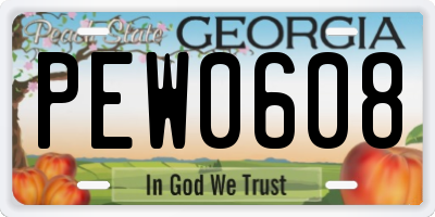 GA license plate PEW0608