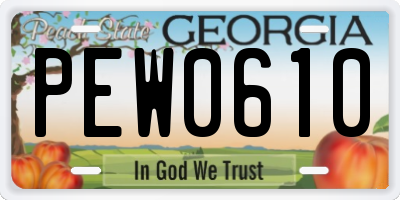 GA license plate PEW0610