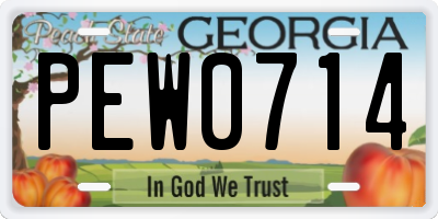 GA license plate PEW0714
