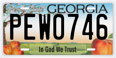 GA license plate PEW0746
