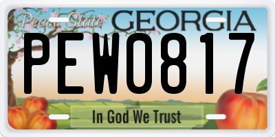 GA license plate PEW0817
