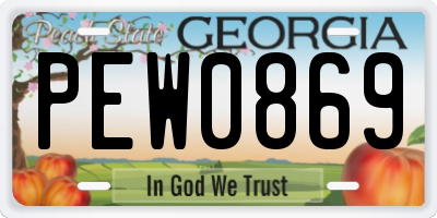 GA license plate PEW0869