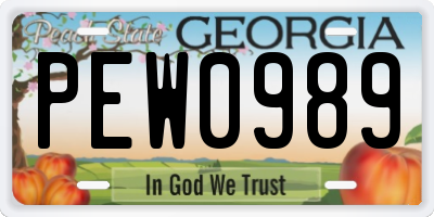 GA license plate PEW0989