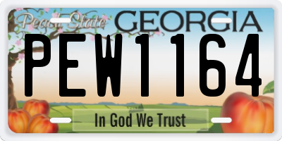 GA license plate PEW1164